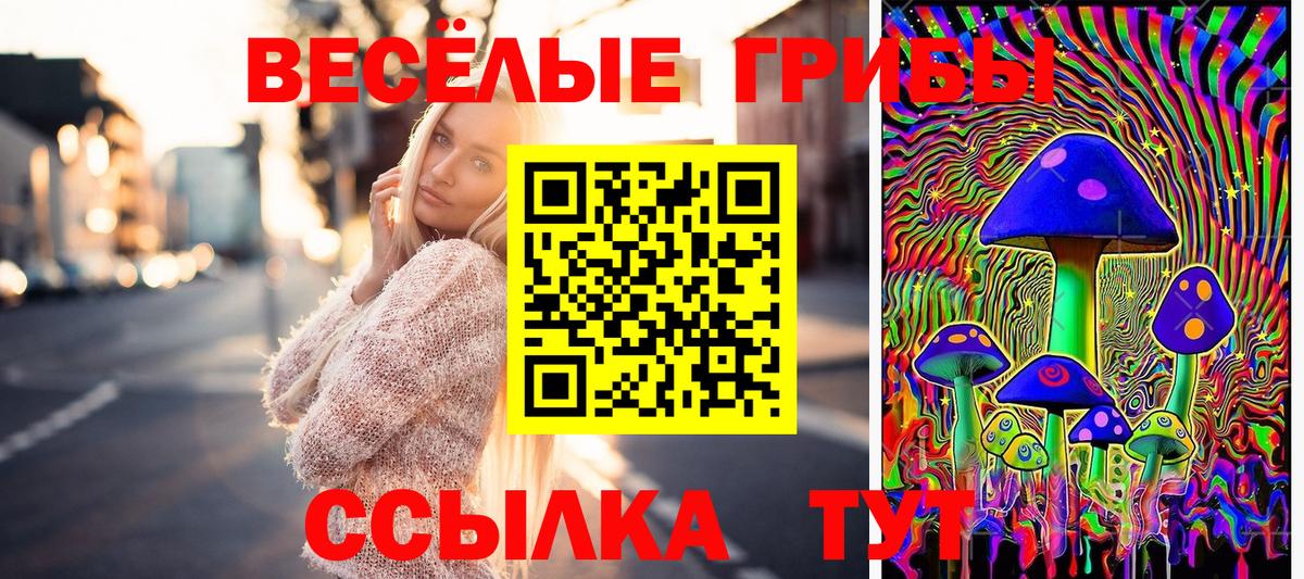 Сатка  Галлюциногенные грибы прущие грибы  Галлюциногенные грибы Psilocybine cubensis  Вход с VPN 